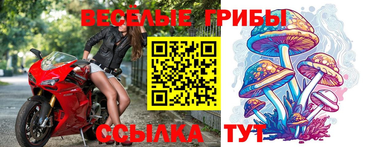 Псилоцибиновые грибы ЛСД  закладки  Вход с VPN  Скопин  Галлюциногенные грибы мицелий 